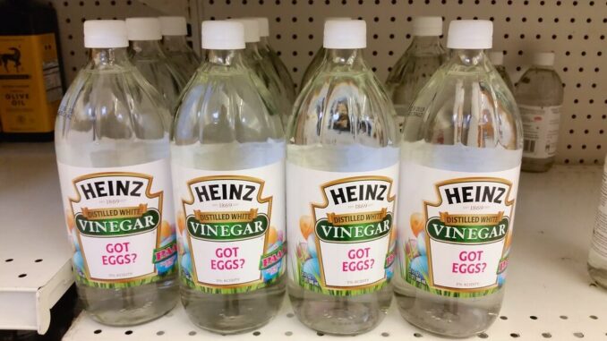 bottles of vinegar