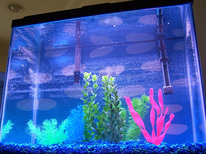 aquarium with mechanical filter