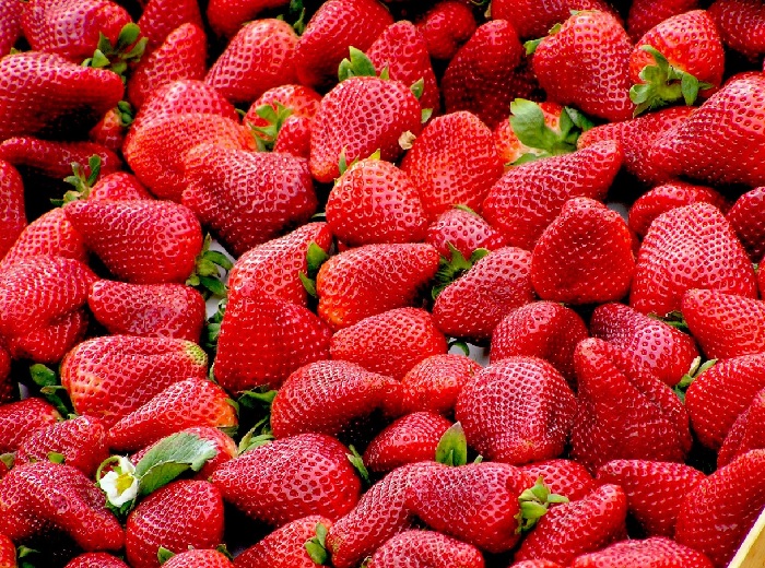 Tips For Feeding Fish With Strawberries